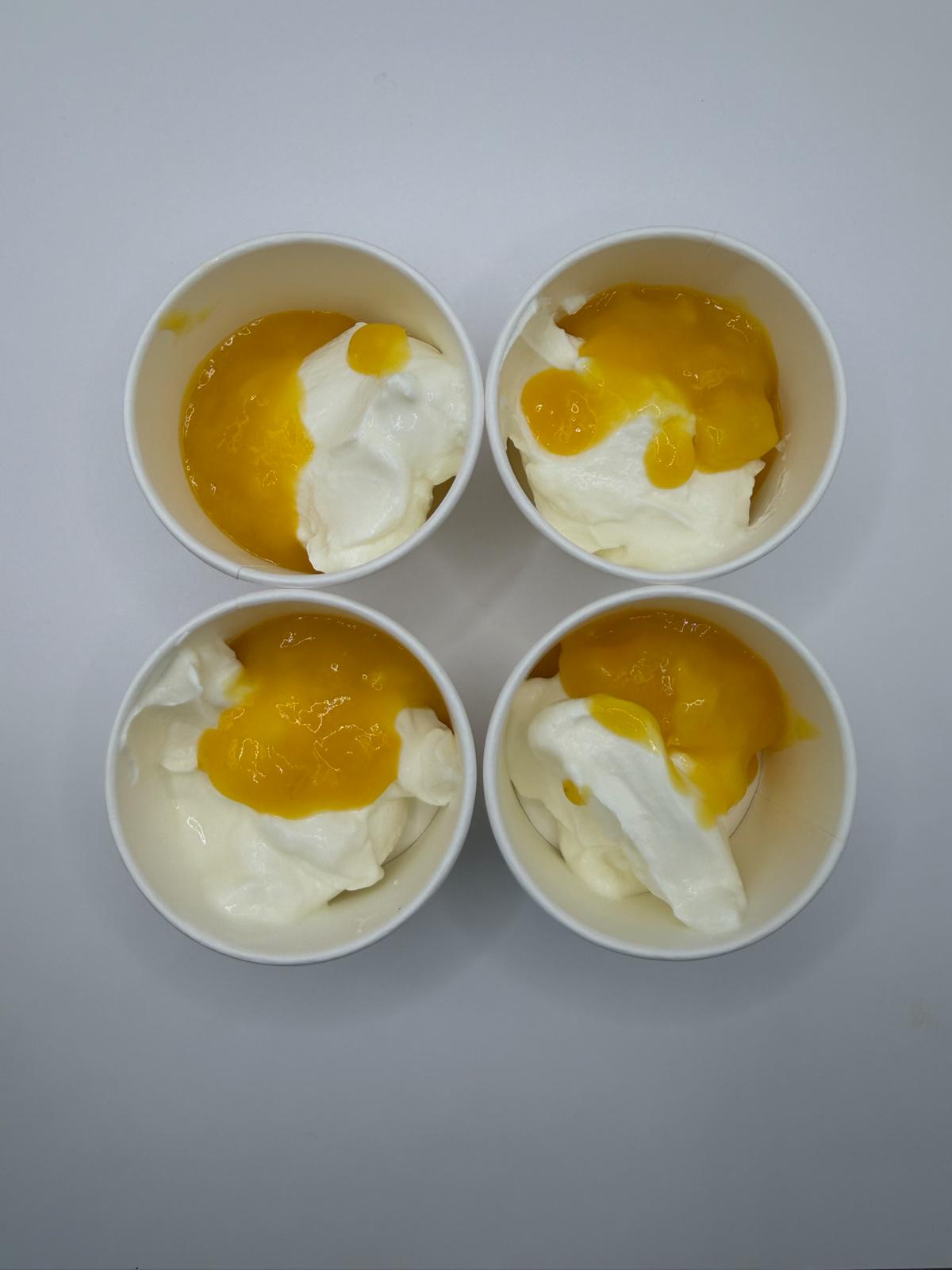 Greek Yoghurt & mango puree